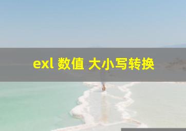 exl 数值 大小写转换